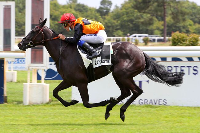 Photo d'arrivée de la course pmu PRIX CHATEAU DE PORTETS à LA TESTE DE BUCH le Dimanche 25 juillet 2021