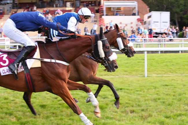 Photo d'arrivée de la course pmu PRIX VIVE L'EAU (PRIX DU VIEUX POIRIER) à CLAIREFONTAINE le Jeudi 29 juillet 2021