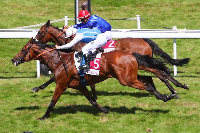 Photo d'arrivée de la course pmu PRIX SENSATIONS DU JEU (PRIX THE WONDER) à CLAIREFONTAINE le Vendredi 13 août 2021