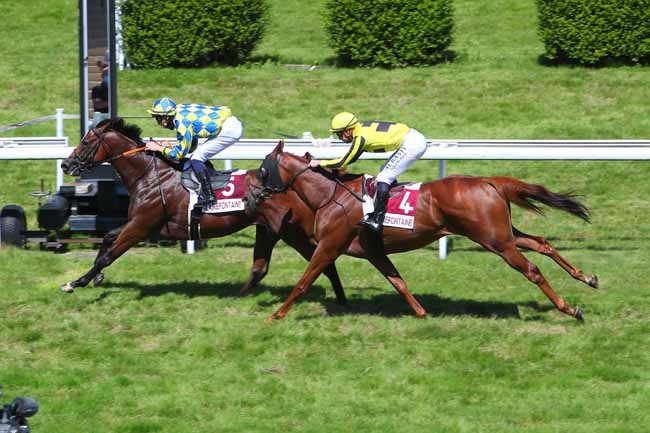 Photo d'arrivée de la course pmu PRIX EQUIPE DU CASINO DE VILLERS-SUR-MER (PRIX DE LA CHANCE) à CLAIREFONTAINE le Vendredi 13 août 2021
