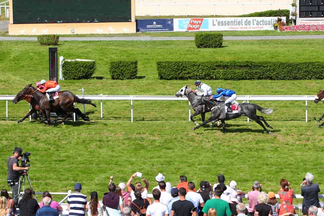 Photo d'arrivée de la course pmu PRIX CASINO ET COURSES (PRIX TIP MOSS) à CLAIREFONTAINE le Vendredi 13 août 2021