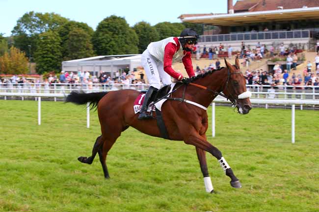 Photo d'arrivée de la course pmu PRIX GROUPE TRANCHANT (PRIX DES FUSAINS) à CLAIREFONTAINE le Vendredi 13 août 2021