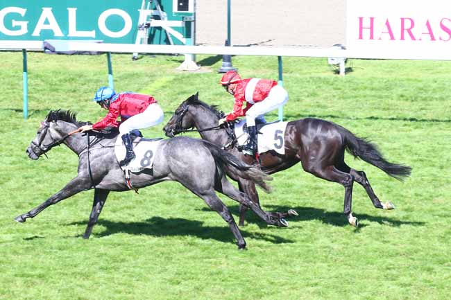 Photo d'arrivée de la course pmu PRIX DE LIEUREY à DEAUVILLE le Samedi 14 août 2021
