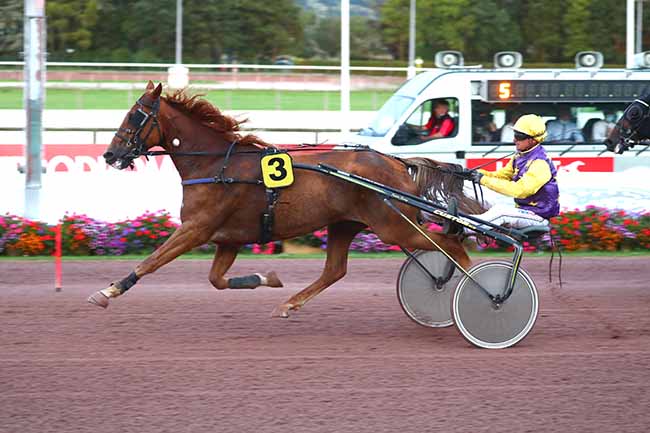 Photo d'arrivée de la course pmu PRIX DE VIRE à CABOURG le Vendredi 20 août 2021