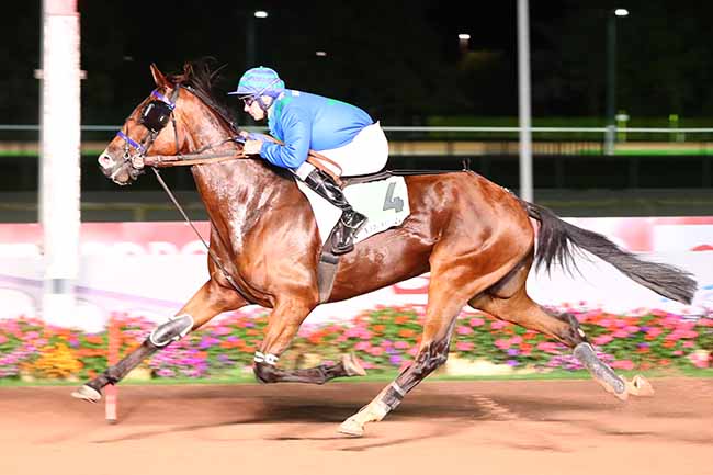 Photo d'arrivée de la course pmu PRIX DE JULLOUVILLE-LES-PINS à CABOURG le Vendredi 20 août 2021