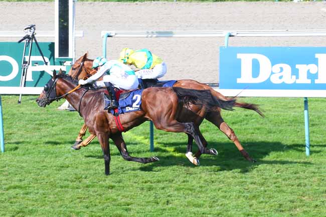 Photo d'arrivée de la course pmu DARLEY PRIX KERGORLAY à DEAUVILLE le Dimanche 22 août 2021