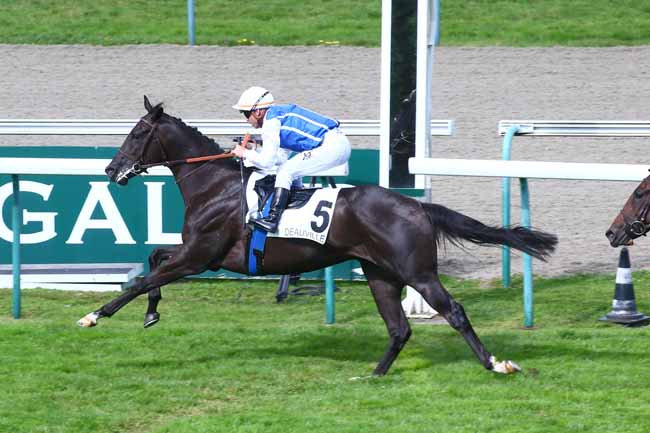 Photo d'arrivée de la course pmu PRIX DU QUARTIER SAINT-FRANCOIS à DEAUVILLE le Jeudi 26 août 2021