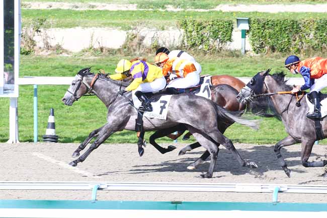 Photo d'arrivée de la course pmu PRIX D'HOULGATE à DEAUVILLE le Jeudi 26 août 2021