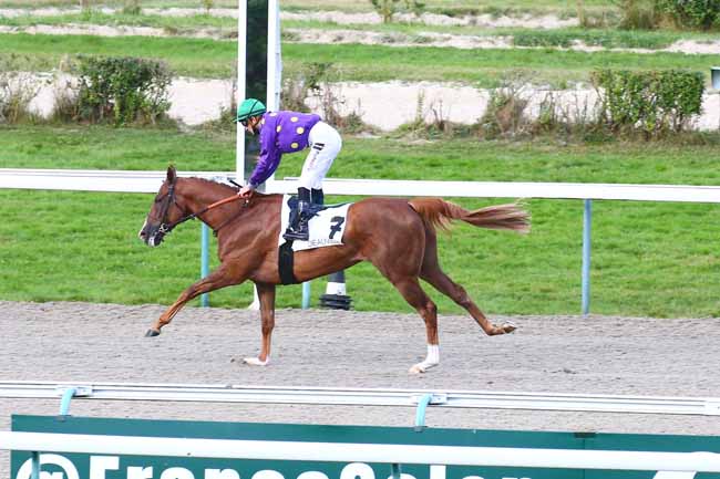Photo d'arrivée de la course pmu PRIX DE LA BRUYERE à DEAUVILLE le Jeudi 26 août 2021