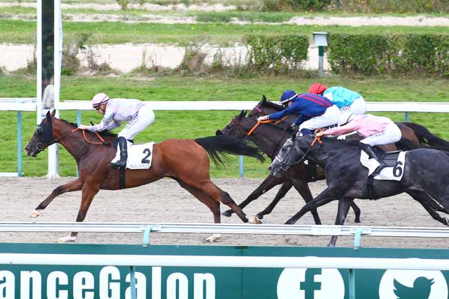 Photo d'arrivée de la course pmu PRIX RECONVERSION CHEVAL DE COURSES EN CHEVAL DE DRESSAGE (PRIX DES ROUGES) à DEAUVILLE le Samedi 28 août 2021