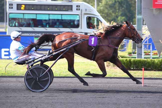 Photo d'arrivée de la course pmu PRIX DE PROVENCE à PARIS-VINCENNES le Samedi 28 août 2021