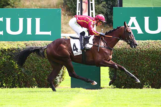 Photo d'arrivée de la course pmu PRIX WEATHER PERMITTING à AUTEUIL le Mercredi 1 septembre 2021