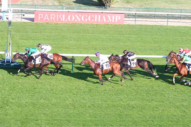 Photo d'arrivée de la course pmu PRIX DE LA REINE MARGUERITE à LONGCHAMP le Jeudi 2 septembre 2021