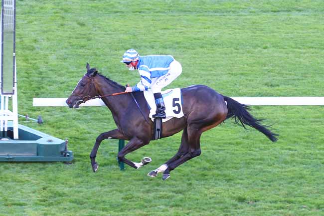 Photo d'arrivée de la course pmu PRIX DE LIANCOURT à LONGCHAMP le Jeudi 2 septembre 2021