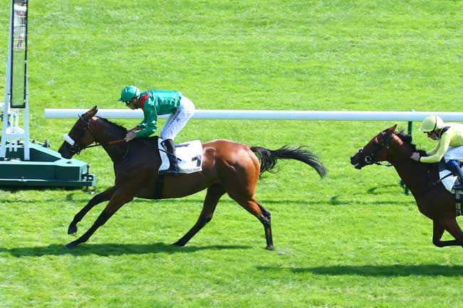 Photo d'arrivée de la course pmu PRIX DE LA COCHERE - FONDS EUROPEEN DE L'ELEVAGE à LONGCHAMP le Dimanche 5 septembre 2021