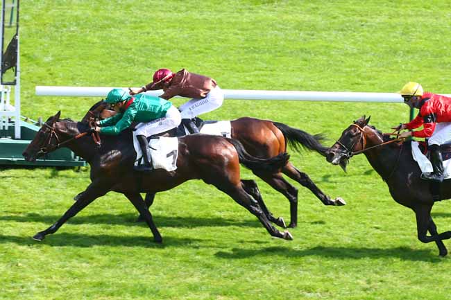 Photo d'arrivée de la course pmu PRIX DU PRINCE D'ORANGE à LONGCHAMP le Dimanche 5 septembre 2021