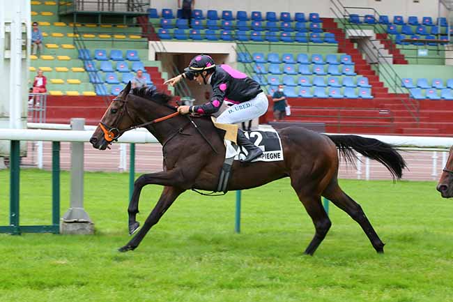 Photo d'arrivée de la course pmu STEEPLE-CHASE DE DEBUT à COMPIEGNE le Vendredi 10 septembre 2021