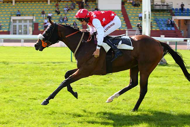 Photo d'arrivée de la course pmu PRIX DE PORNIC à COMPIEGNE le Vendredi 10 septembre 2021