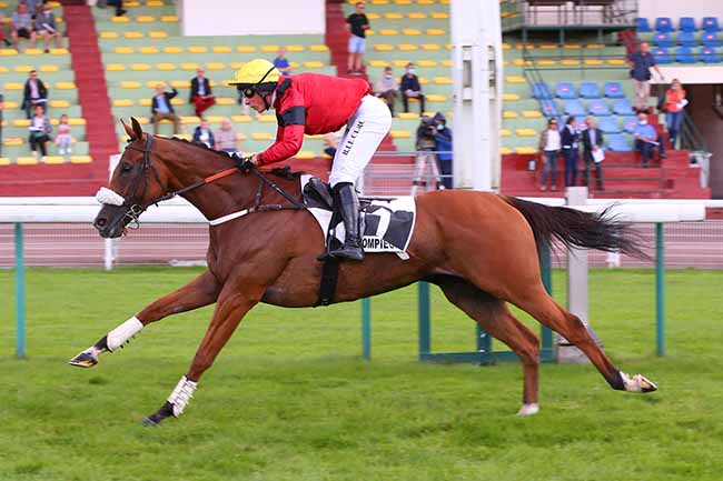 Photo d'arrivée de la course pmu PRIX DE RANVILLE à COMPIEGNE le Vendredi 10 septembre 2021
