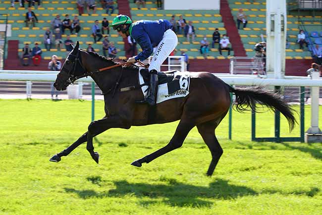 Photo d'arrivée de la course pmu PRIX SUMMIT à COMPIEGNE le Vendredi 10 septembre 2021