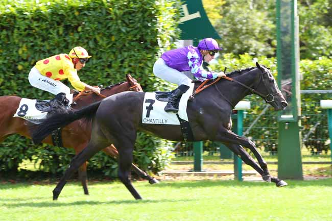 Photo d'arrivée de la course pmu PRIX DE VILLEMETRIE à CHANTILLY le Samedi 11 septembre 2021