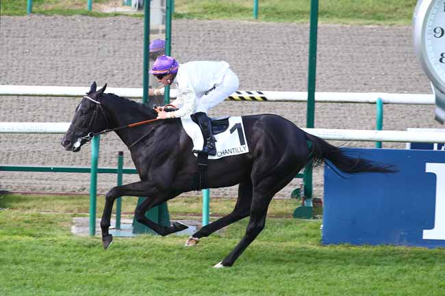 Photo d'arrivée de la course pmu PRIX DE LA RECONVERSION DES CHEVAUX DE COURSES (PRIX DES TERRES NOIRES) à CHANTILLY le Samedi 11 septembre 2021
