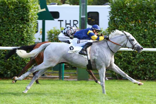 Photo d'arrivée de la course pmu L'EXPRESS à CHANTILLY le Samedi 11 septembre 2021