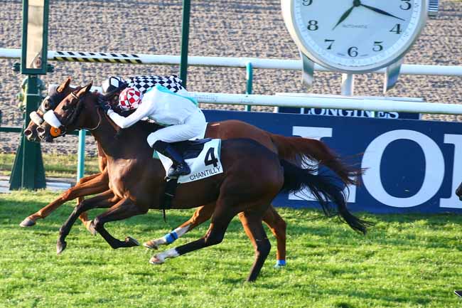 Photo d'arrivée de la course pmu PRIX DU CANAL DU HAMEAU à CHANTILLY le Samedi 11 septembre 2021