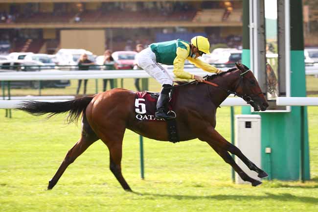 Photo d'arrivée de la course pmu QATAR PRIX DU PETIT COUVERT à LONGCHAMP le Dimanche 12 septembre 2021