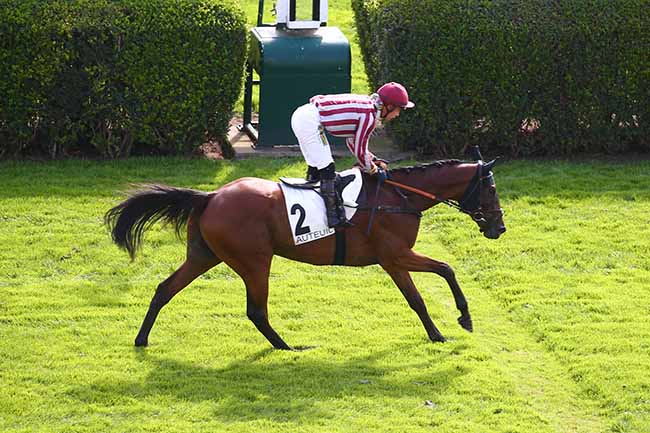 Photo d'arrivée de la course pmu PRIX MELI MELO à AUTEUIL le Lundi 13 septembre 2021