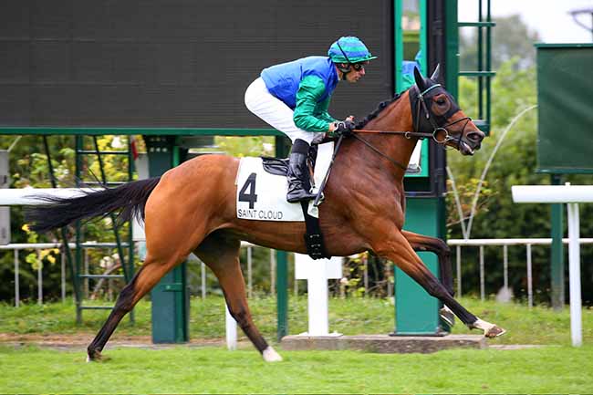 Photo d'arrivée de la course pmu PRIX POETESS à SAINT CLOUD le Mardi 14 septembre 2021