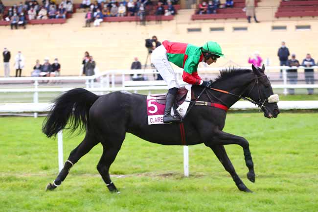 Photo d'arrivée de la course pmu PRIX GALOP BAIE (PRIX KAWAN) à CLAIREFONTAINE le Mardi 14 septembre 2021