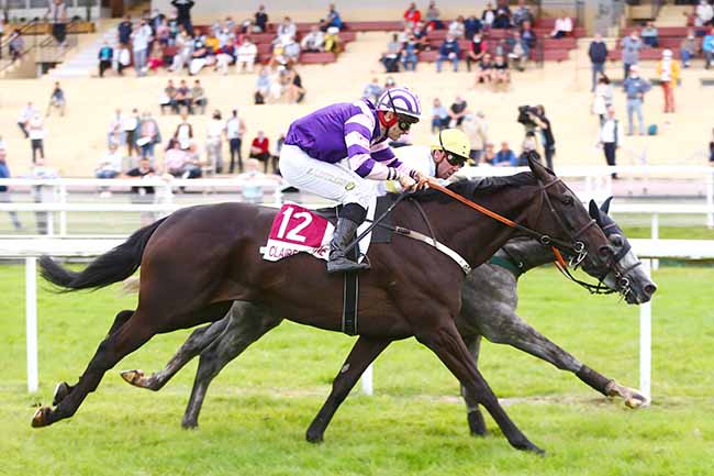 Photo d'arrivée de la course pmu PRIX HARAS DU GRAND CHESNAIE - ETALON THE ANVIL (PRIX D'ANGLET) à CLAIREFONTAINE le Mardi 14 septembre 2021