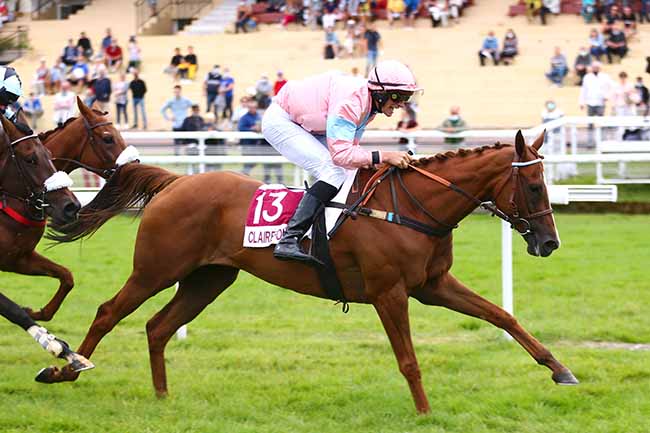 Photo d'arrivée de la course pmu PRIX HARAS DE LA HETRAIE - ETALON ROMAN CANDLE (PRIX GRAND CROC) à CLAIREFONTAINE le Mardi 14 septembre 2021