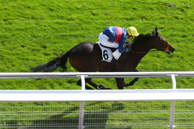 Photo d'arrivée de la course pmu PRIX FINOT - POULAINS à AUTEUIL le Vendredi 17 septembre 2021
