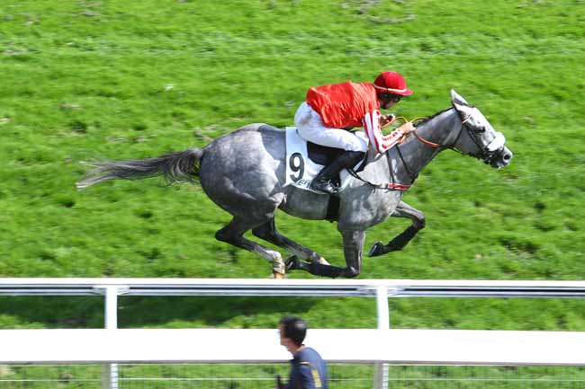 Photo d'arrivée de la course pmu PRIX PATRICK LEC à AUTEUIL le Vendredi 17 septembre 2021