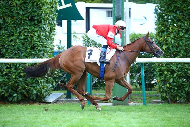 Photo d'arrivée de la course pmu PRIX DE LA PISTE RODOSTO à CHANTILLY le Vendredi 17 septembre 2021