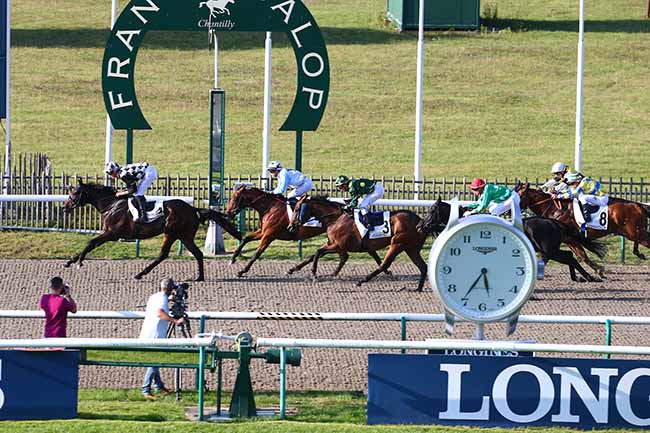 Photo d'arrivée de la course pmu PRIX DU BOIS FRANC à CHANTILLY le Vendredi 17 septembre 2021