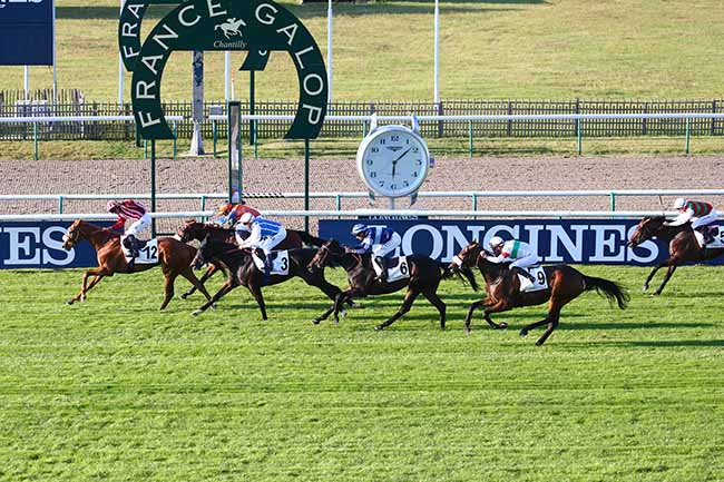 Photo d'arrivée de la course pmu PRIX DE LA COLLERAIE à CHANTILLY le Vendredi 17 septembre 2021