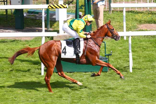 Photo d'arrivée de la course pmu PRIX DE LEVIS-SAINT-NOM à SAINT CLOUD le Samedi 18 septembre 2021