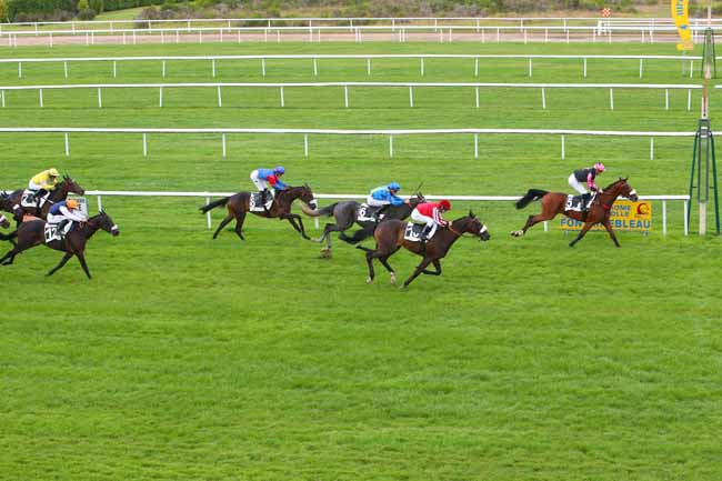 Photo d'arrivée de la course pmu PRIX DE LA TABLE DU GRAND MAITRE à FONTAINEBLEAU le Lundi 20 septembre 2021