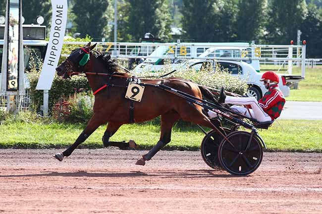 Photo d'arrivée de la course pmu PRIX DE LA VILLE D'AMIENS à AMIENS le Mercredi 22 septembre 2021