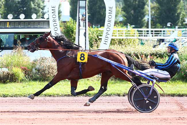 Photo d'arrivée de la course pmu PRIX DE L'AMIENS SC à AMIENS le Mercredi 22 septembre 2021
