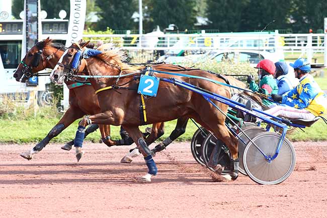 Photo d'arrivée de la course pmu PRIX DE LA SAVONNERIE 
