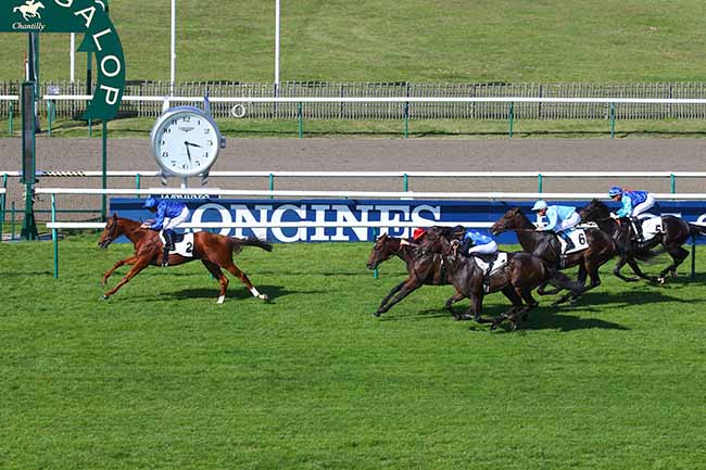 Photo d'arrivée de la course pmu PRIX DE SAINT-NICOLAS-D'ACY à CHANTILLY le Vendredi 24 septembre 2021