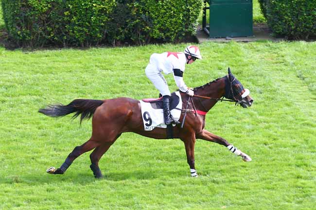 Photo d'arrivée de la course pmu PRIX VIOLON II à AUTEUIL le Samedi 25 septembre 2021