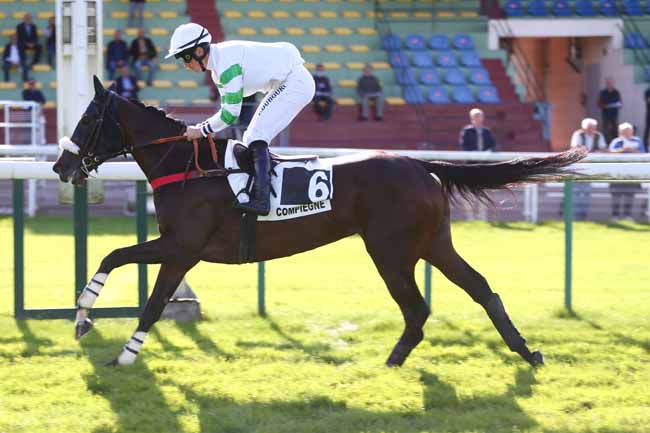 Photo d'arrivée de la course pmu PRIX BUCHEUR à COMPIEGNE le Mardi 28 septembre 2021