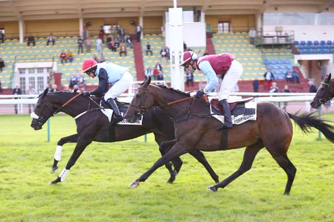 Photo d'arrivée de la course pmu PRIX DE LA GASCOGNE à COMPIEGNE le Mardi 28 septembre 2021