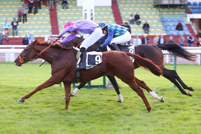 Photo d'arrivée de la course pmu PRIX BAY ARCHER à COMPIEGNE le Mardi 28 septembre 2021