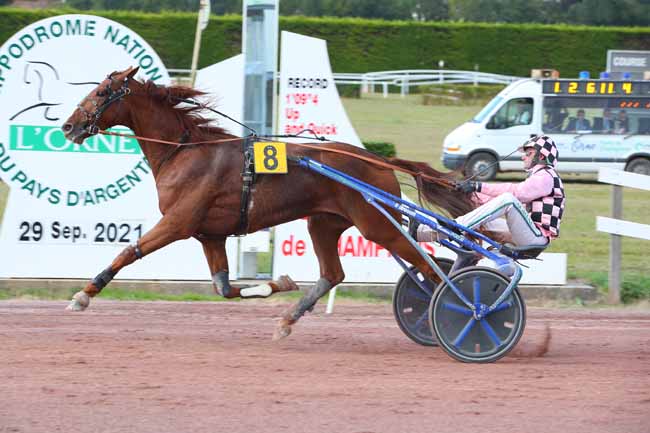 Photo d'arrivée de la course pmu PRIX DU CIDRE DE NORMANDIE - PRIX RFM à ARGENTAN le Mercredi 29 septembre 2021